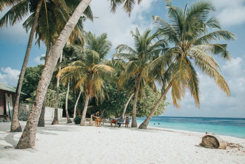 Thulusdhoo Maldives: The Best Local Island for Surfing, Budget Stays & Easy Island Life 11 white sand beach lined with leaning palm trees beside a turquoise lagoon on Thulusdhoo