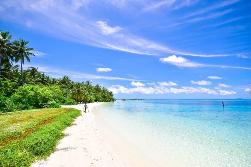 North and South Ari Atoll Guide (Alif Alif & Alif Dhaal): Resorts, Local Islands & Everything You Need to Know 17 Thoddoo local island Alif Alif Atoll Maldives aerial view watermelon island with lush interior