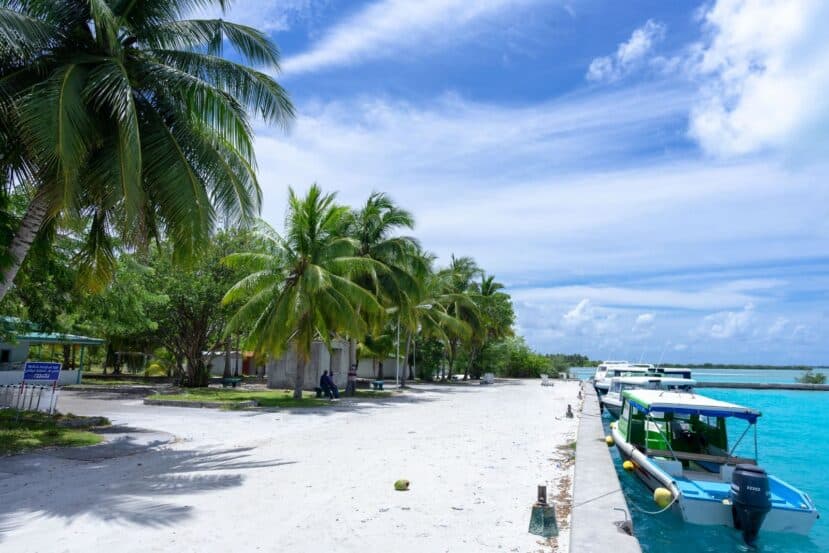 Gulhi Maldives: Affordable Local Island Close to Malé 12 boats moored along a white sand beach lined with leaning palms beside a turquoise lagoon