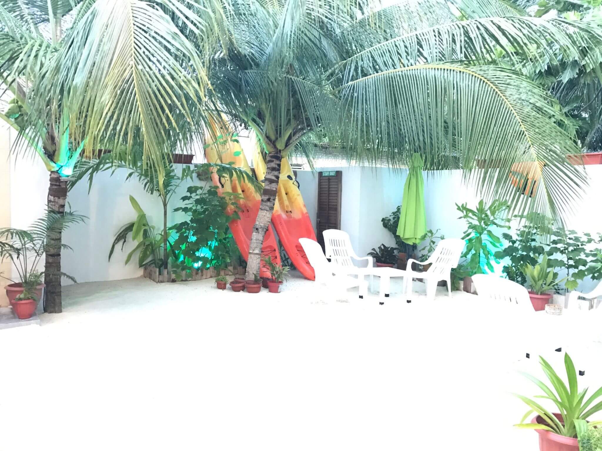 Best Hotels on Local Islands in Maldives (By Budget): Complete Guide for 2026 2 Acqua Blu Rasdhoo dive guesthouse local island hotel Maldives exterior