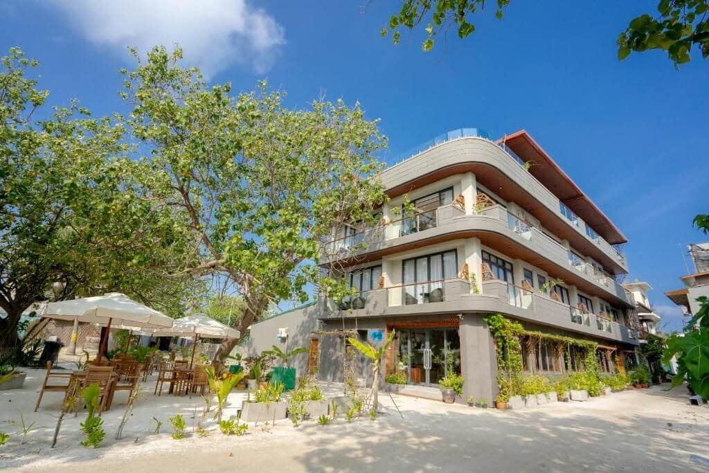 Gulhi Maldives: Affordable Local Island Close to Malé 7 Ayala Oceanview Maldives Gulhi guesthouse with ocean views and modern design