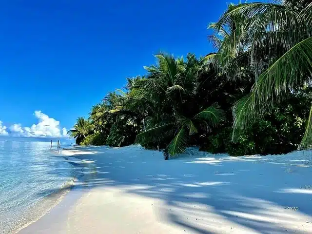 Best Hotels on Local Islands in Maldives (By Budget): Complete Guide for 2026 14 Fairytale Inn guesthouse Thoddoo tropical island setting Maldives