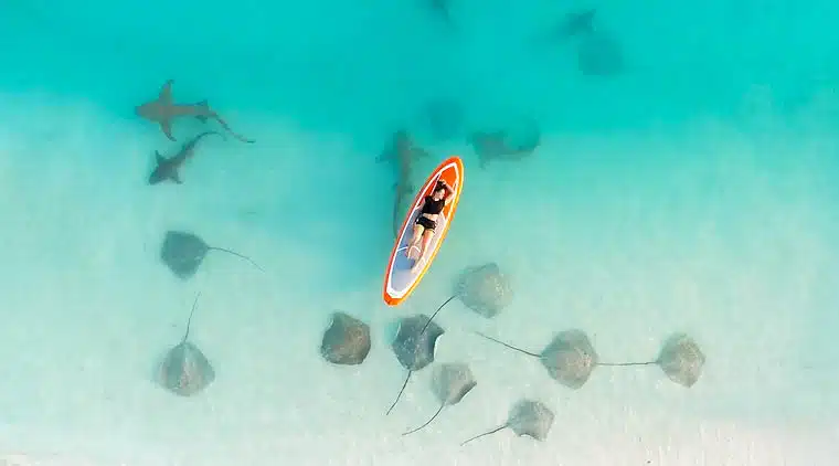 Fulidhoo local island Vaavu Atoll Maldives beach with turquoise water and sand