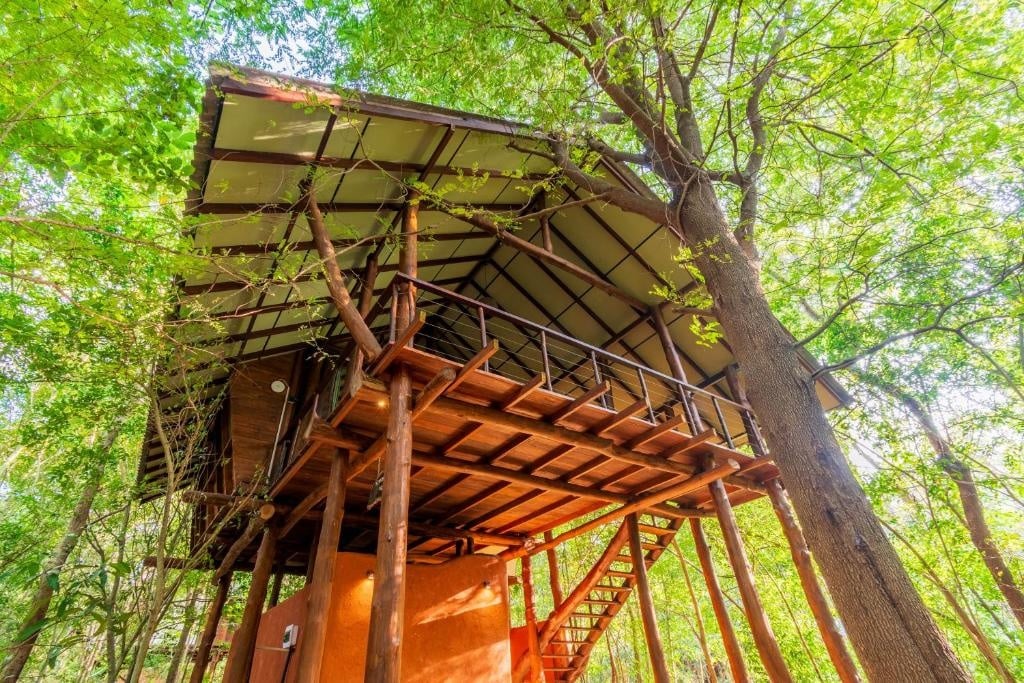 Sri Lanka Cultural Triangle: Ancient Cities, Temples & Where to Stay 8 Kalaa Kalaththewa Luxury Eco Resort Anuradhapura Sri Lanka nature setting boutique stay
