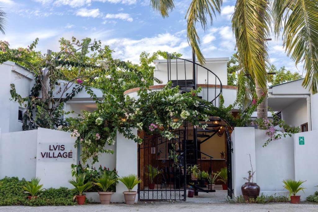 Best Hotels on Local Islands in Maldives (By Budget): Complete Guide for 2026 4 LVIS Village Dharavandhoo Baa Atoll guesthouse with comfortable rooms