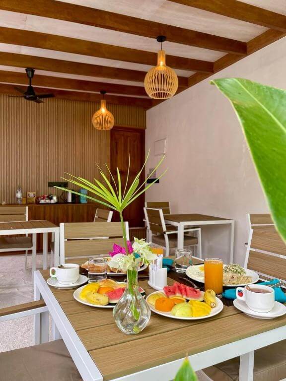 Dhigurah Maldives: The Best Local Island for Whale Shark Encounters 9 Oasis Dhigurah guesthouse exterior with palm trees on whale shark island