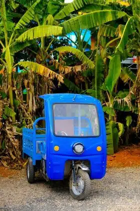 getting around sri lanka wit blue tuk tuk
