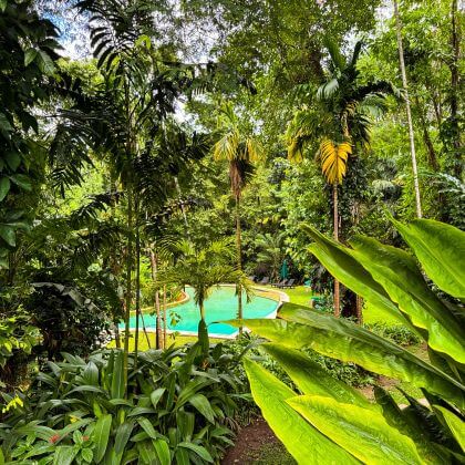 hotels in sri lanka with a nature highlight