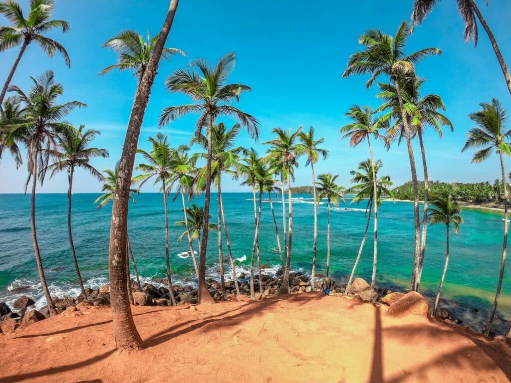 Sri Lanka South Coast: Beaches, Surf Towns & Coastal Travel 9 palm trees lining the sandy shore at Mirissa on the Sri Lanka South Coast