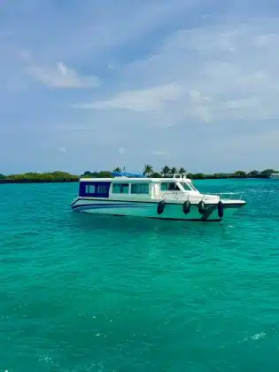 liveaboard trip in maldives