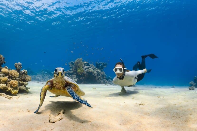 Thoddoo Maldives: The Complete Guide to the Watermelon Island 10 snorkellers over a sandy seabed beside coral with a turtle and reef fish in clear blue water
