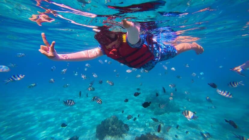 North and South Malé Atoll Guide (Kaafu Atoll): Resorts, Local Islands & Everything You Need to Know 2 snorkeller swimming above coral reef in clear turquoise water Maldives
