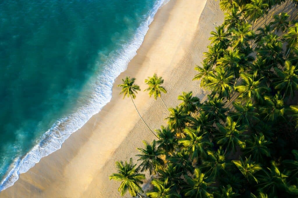 Sri Lanka South Coast: Beaches, Surf Towns & Coastal Travel 17 aerial view of a long palm-lined beach at Tangalle on the eastern end of Sri Lanka south coast